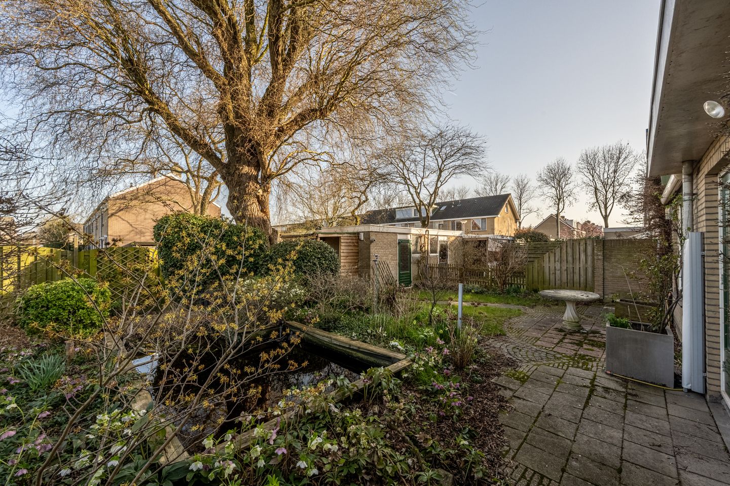 Foto 34 van van Ostadestraat 15