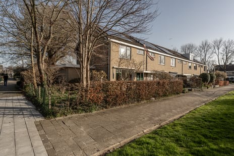 van Ostadestraat thumbnail