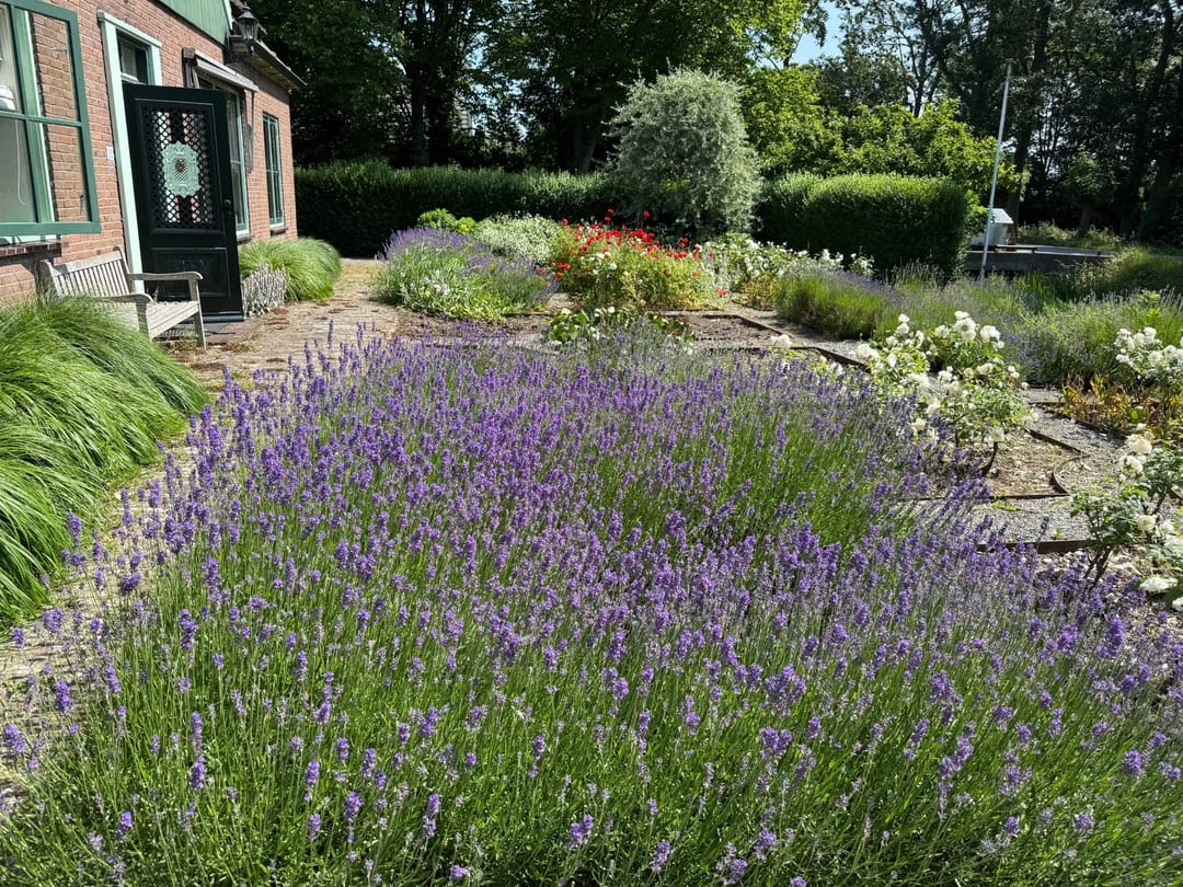 Foto 7 van Wogmeer 105