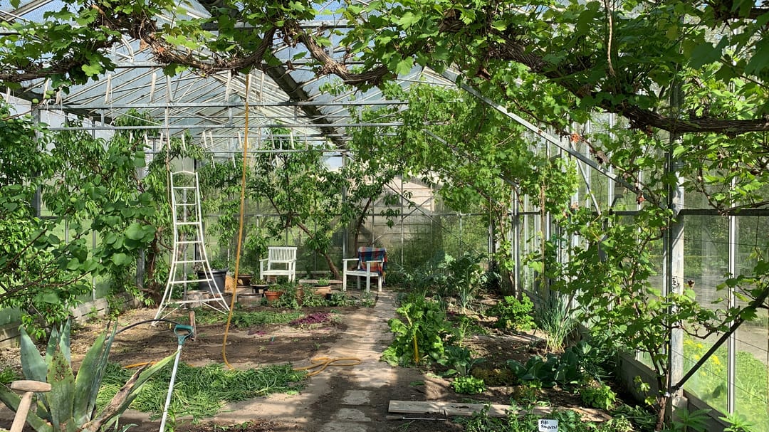 Foto 11 van Wogmeer 105