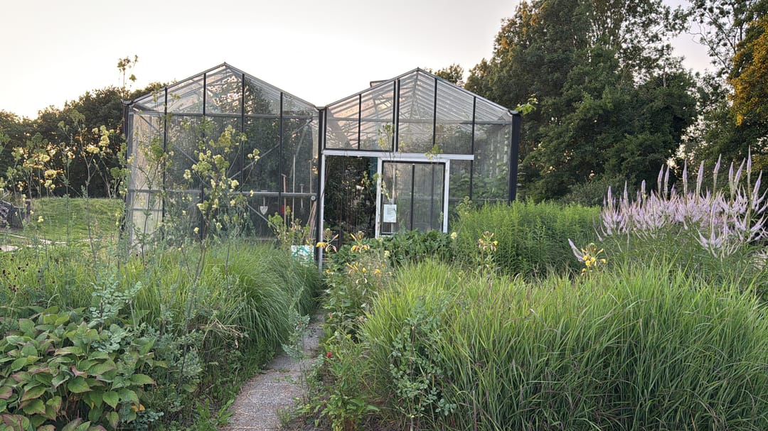 Foto 13 van Wogmeer 105