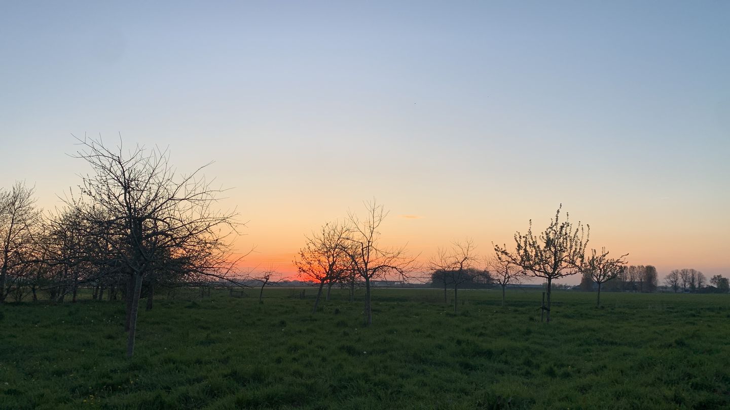 Foto 10 van Wogmeer 105