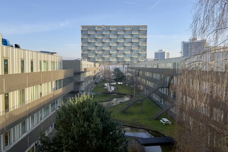 undefined main image