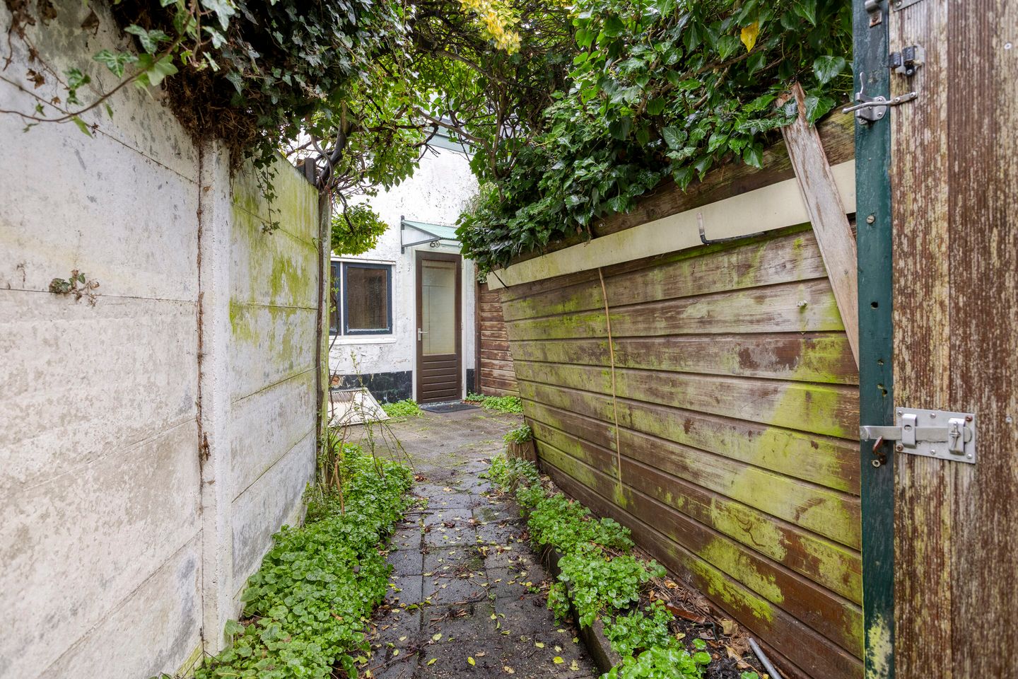 Foto 20 van Silenestraat 11