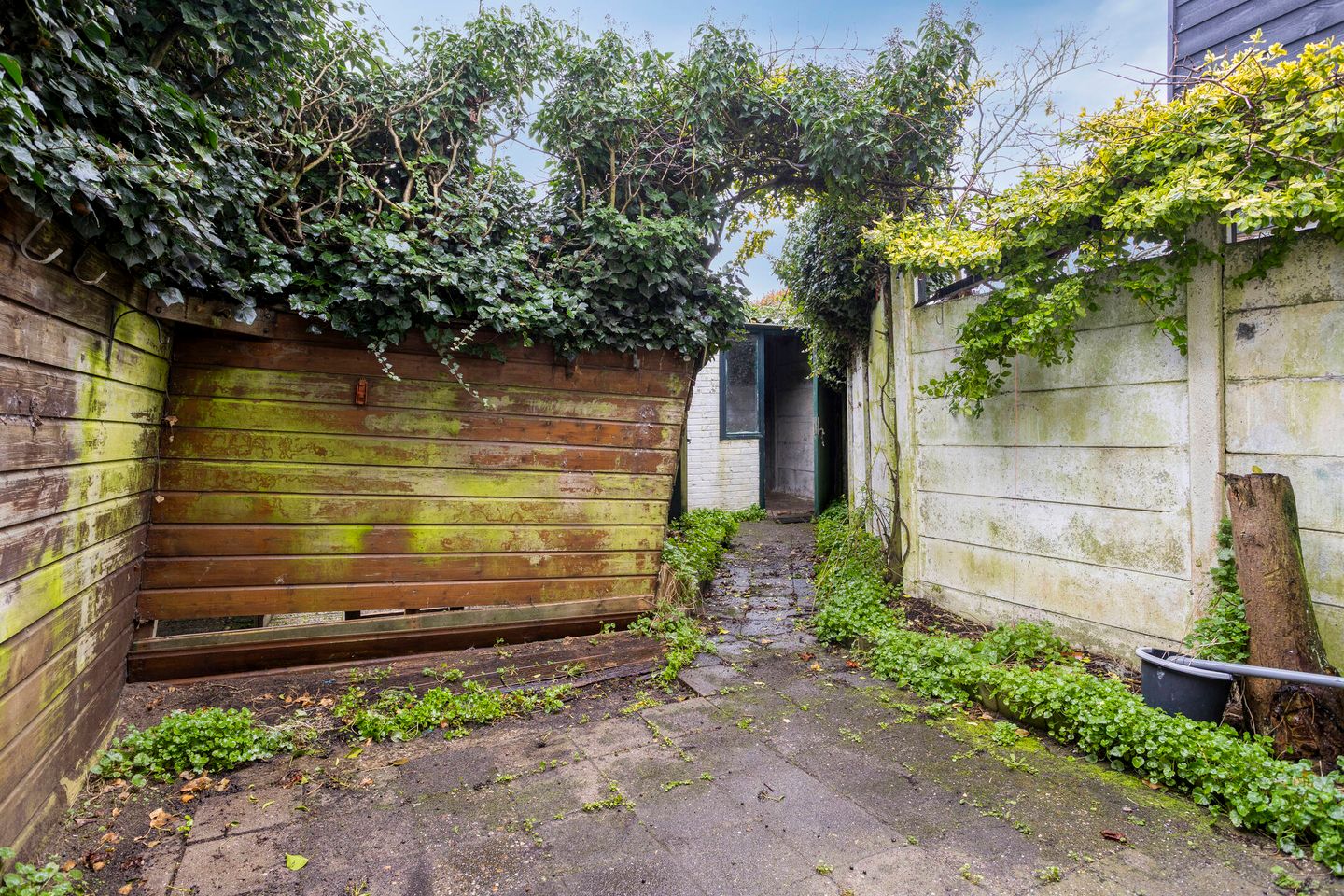 Foto 19 van Silenestraat 11