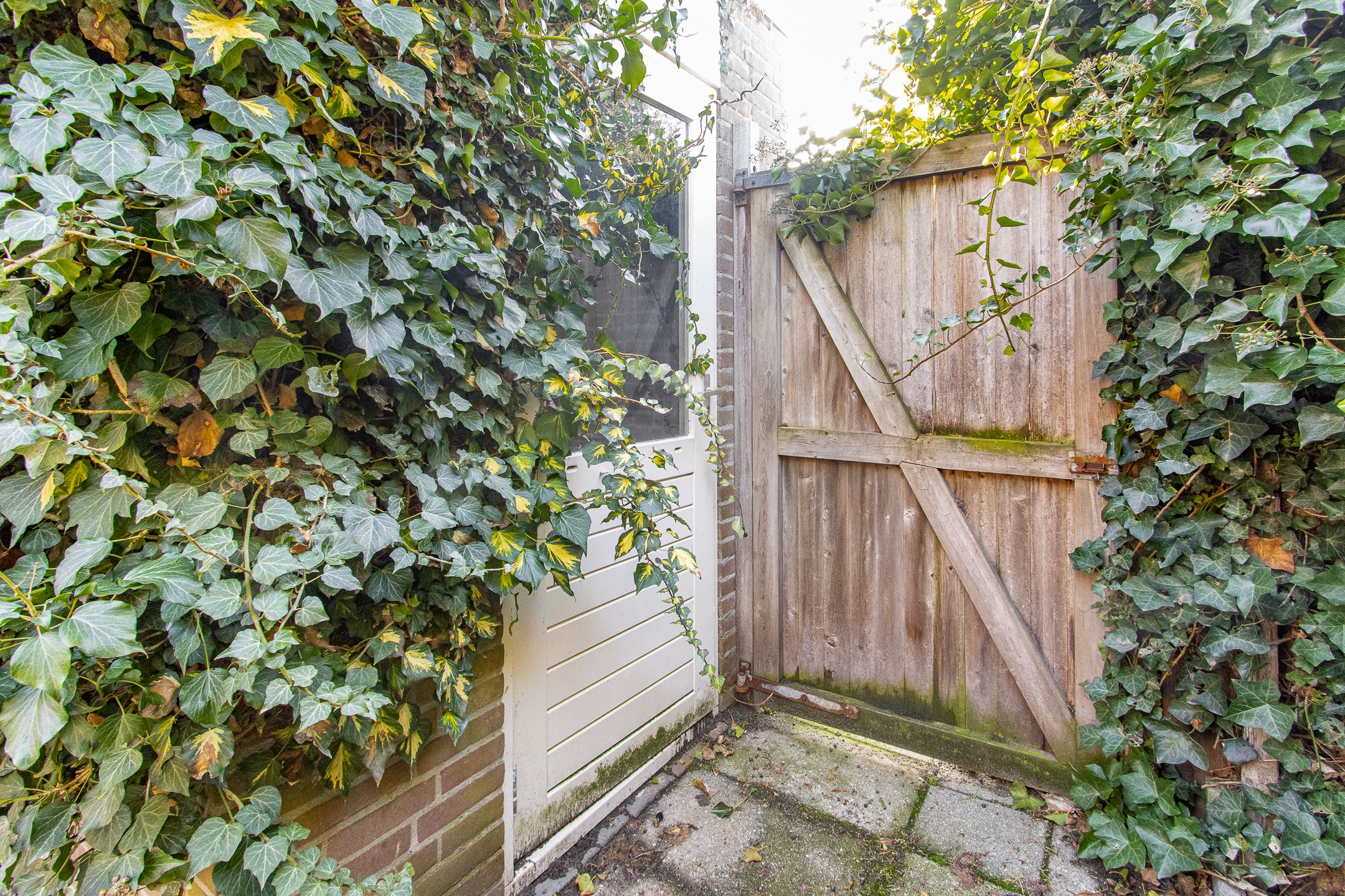 Foto 30 van Middelweide 31