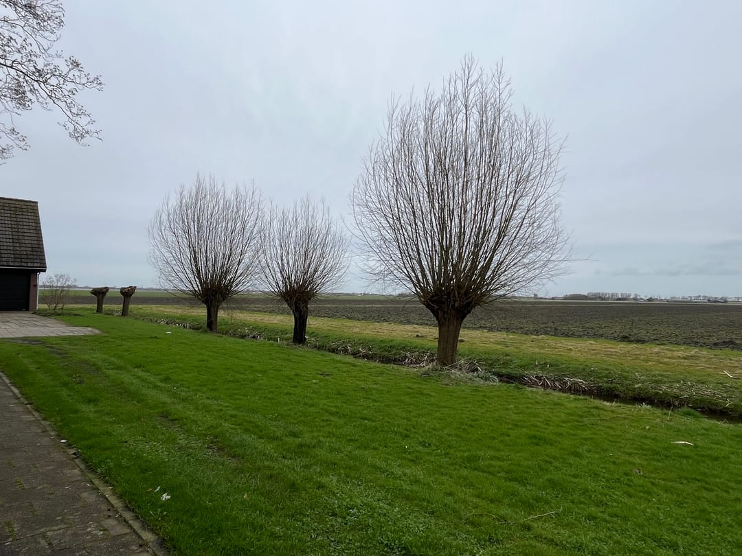 Foto 13 van Wiekstraat 49