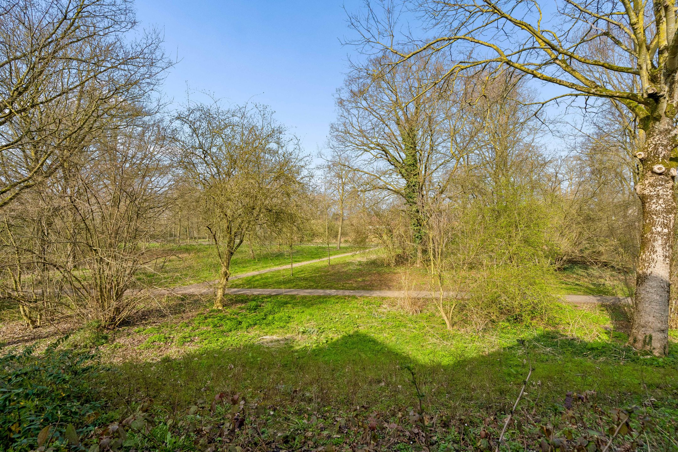 Photo 12 of Meekrap-oord 8