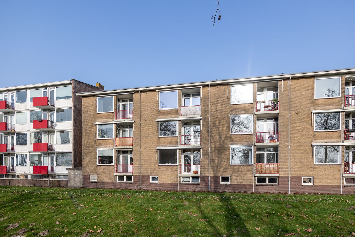 Foto 4 van Wolvenlaan 103