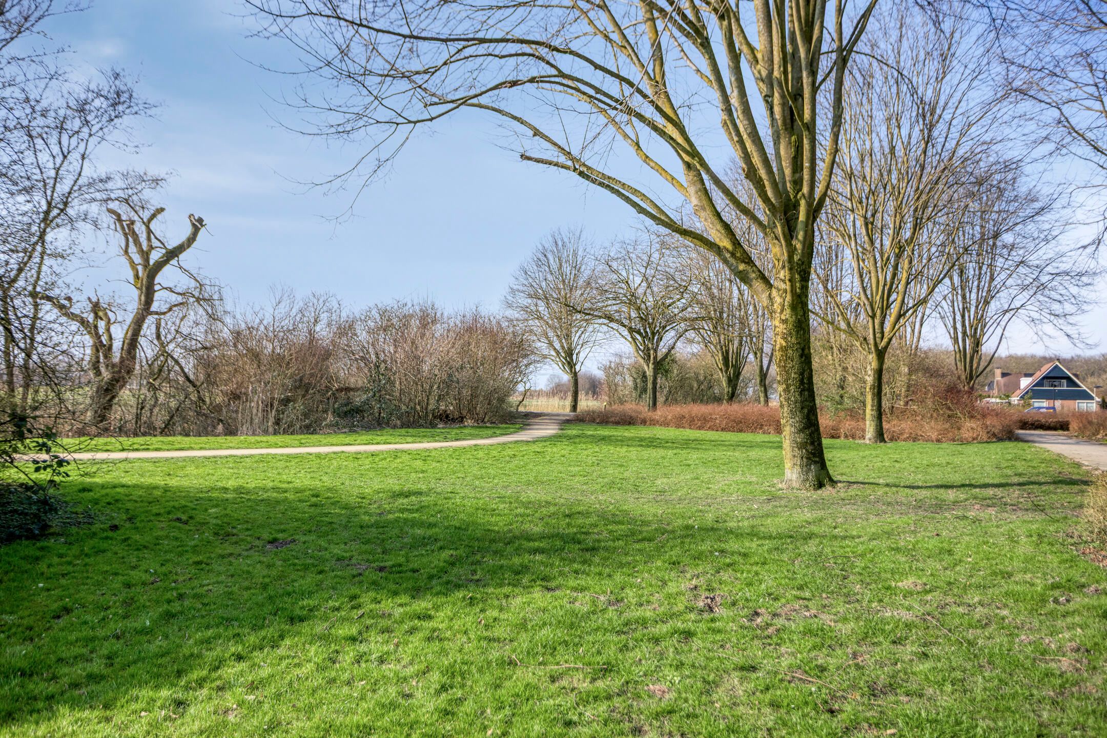 Rijksstraatweg 10 Ridderkerk - Meer