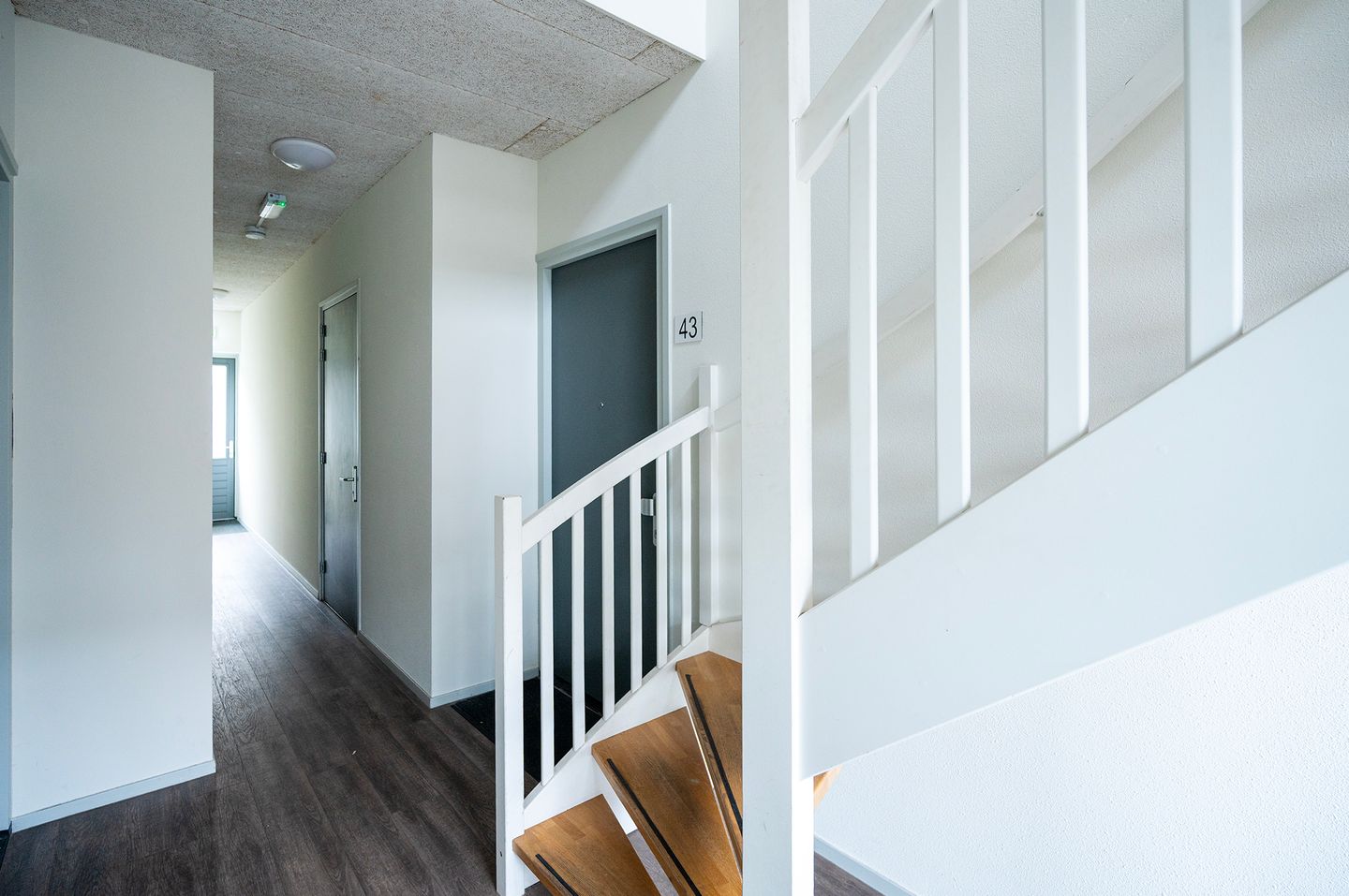 Foto 5 van Liechtensteinstraat 43