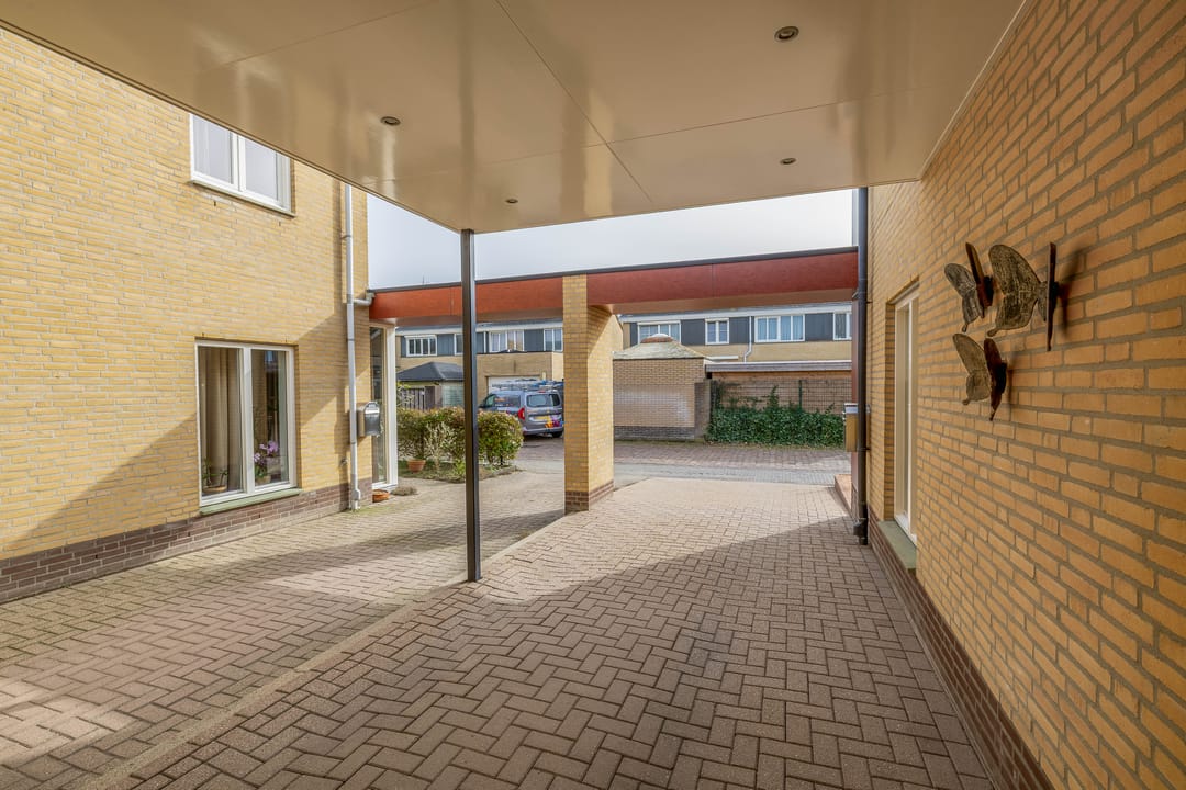 Foto 7 van Graskers 19