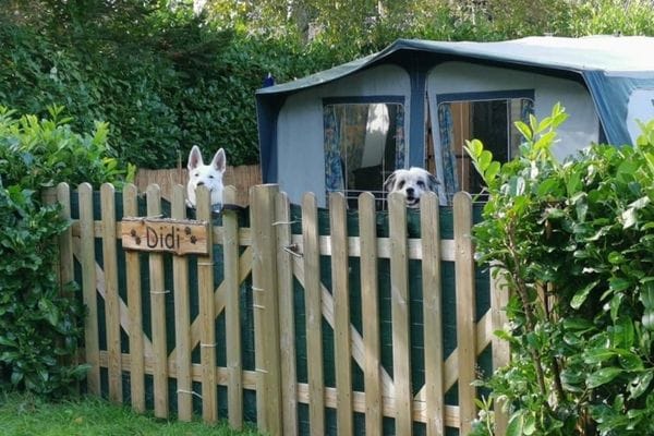 Bekijk foto 4 van Dorpsstraat 48