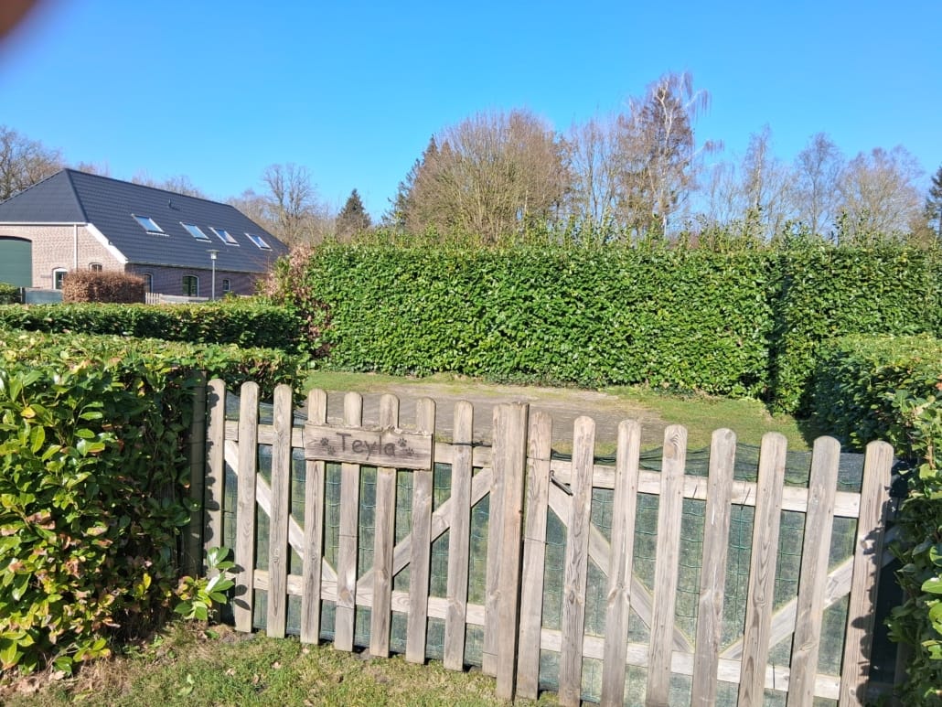 Bekijk foto 5 van Dorpsstraat 48