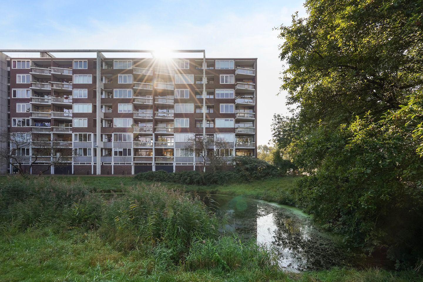 Foto 34 van Stokroosstraat 201