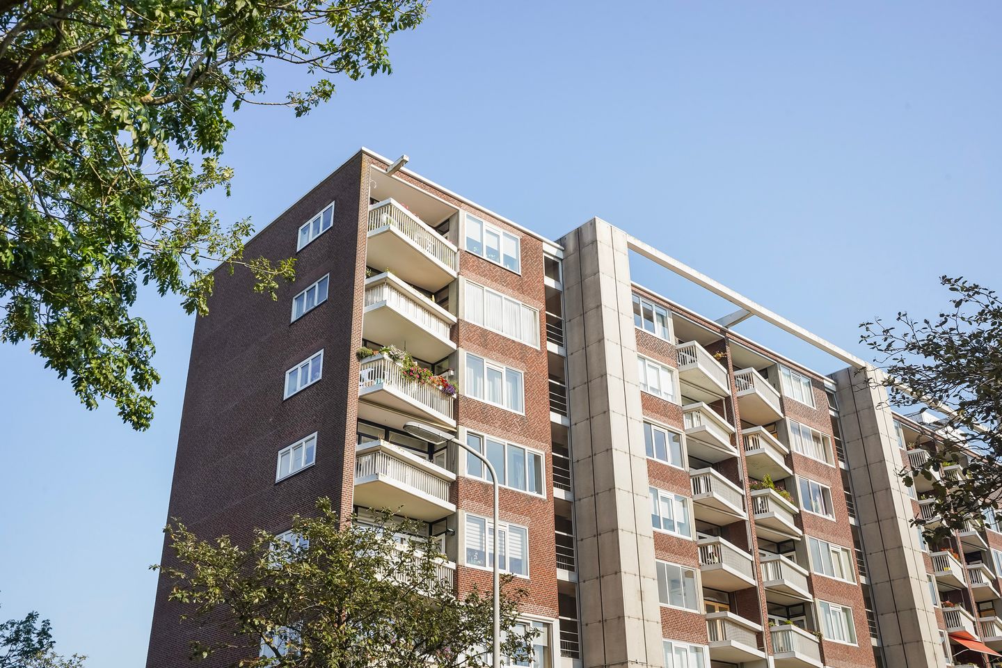 Foto 35 van Stokroosstraat 201