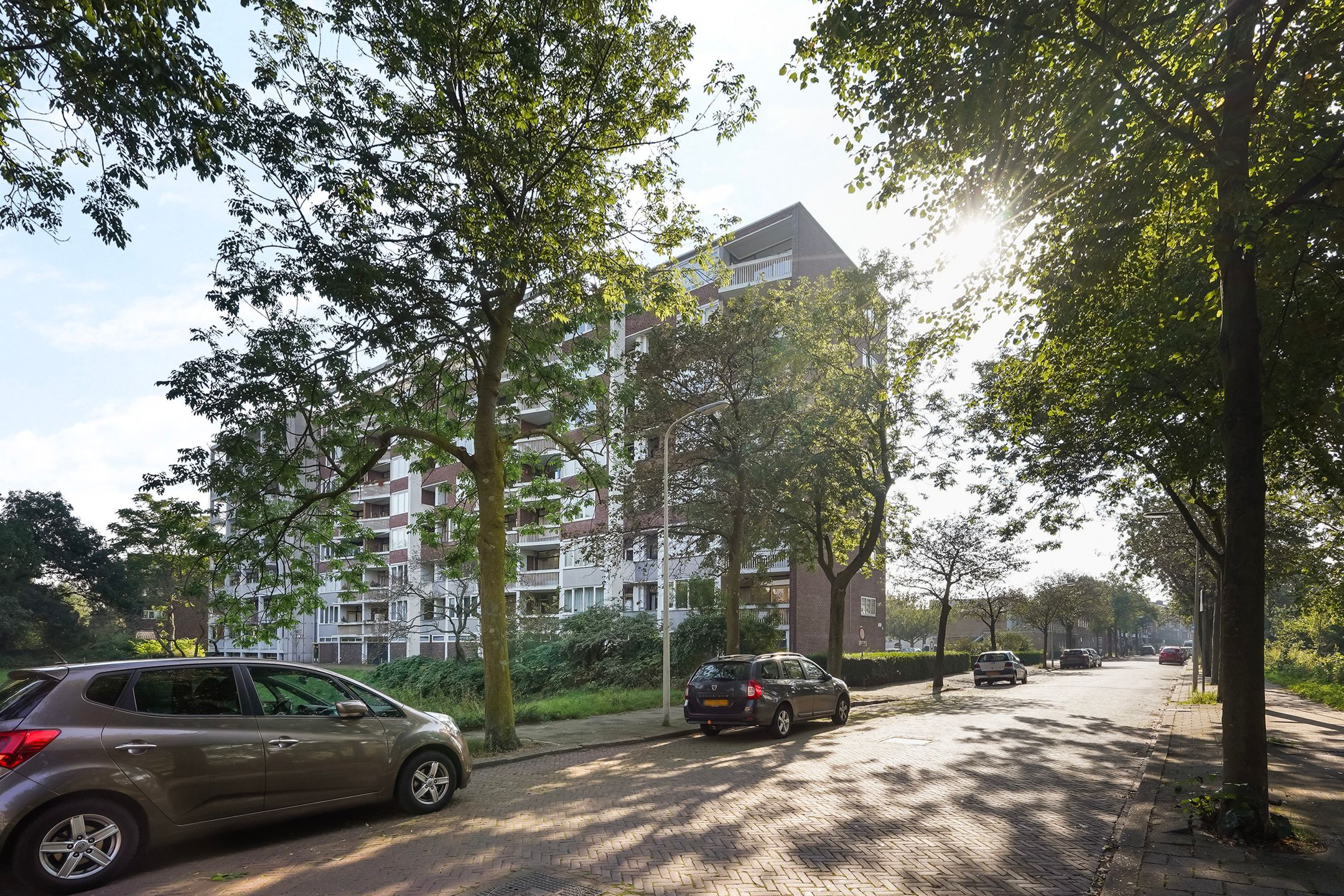 Foto 33 van Stokroosstraat 201