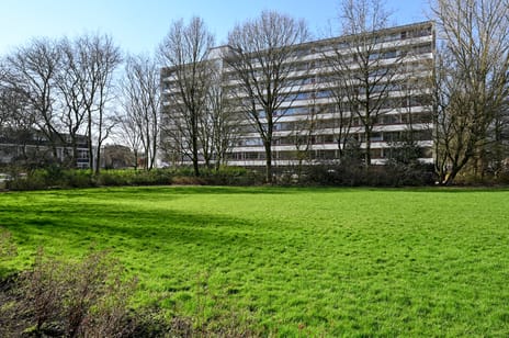 Duivelandselaan thumbnail
