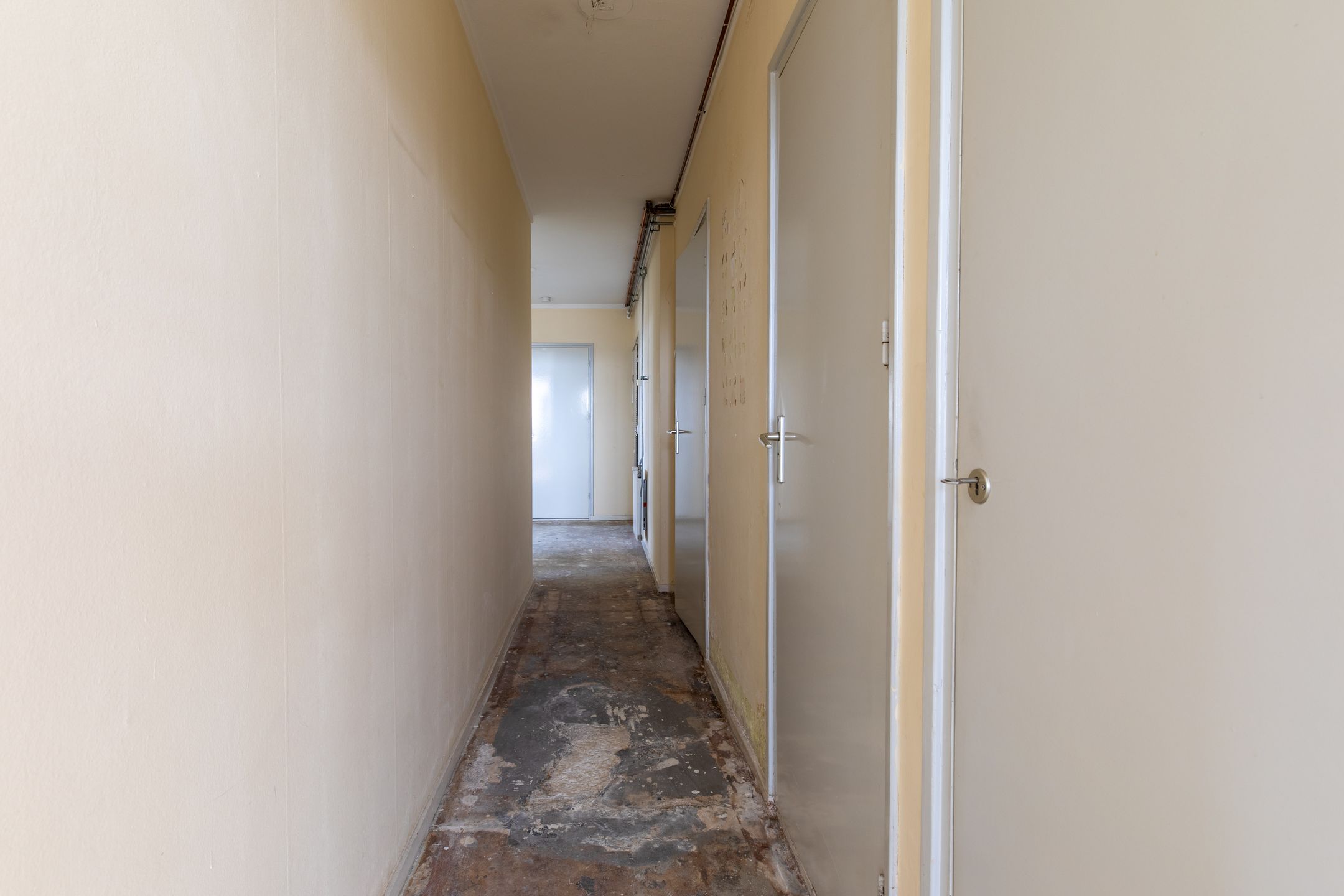 Foto 12 van Vrieheidepark 118