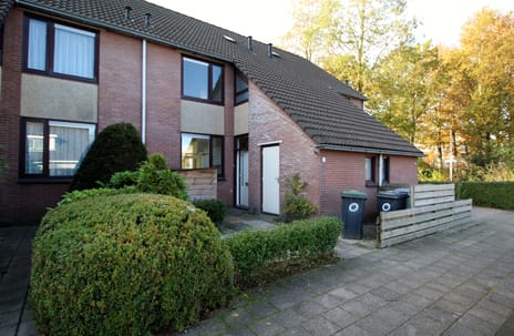 undefined main image