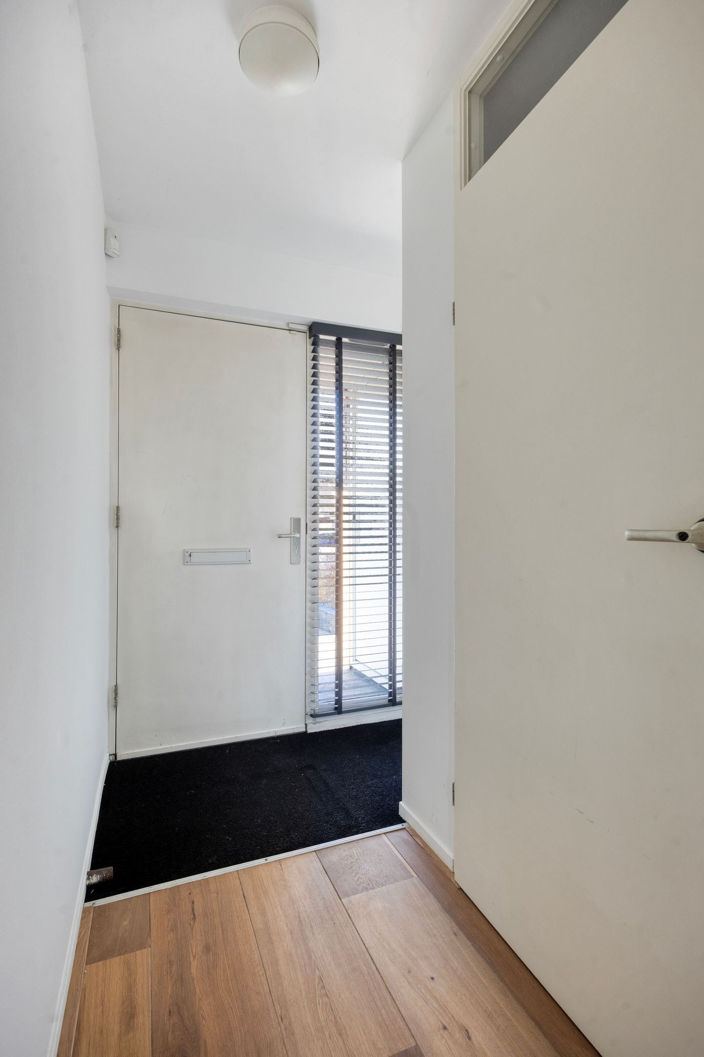 Photo 5 of Bastion 13