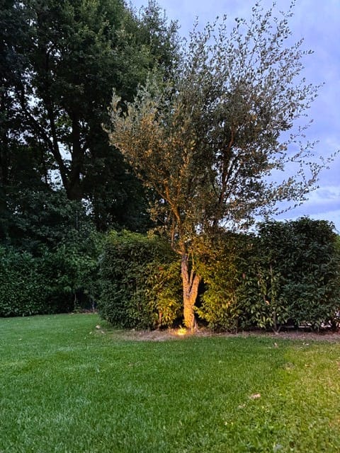 Foto 80 van Beugenseweg 43