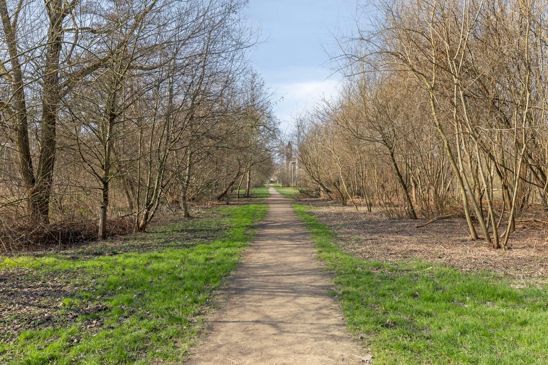 Foto 28 van Eikenrodelaan 97-BV