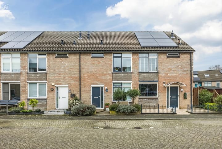 Foto 2 van Hermelijn 13