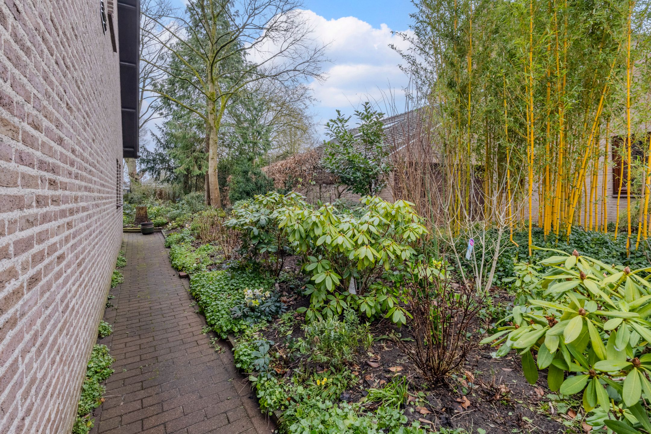Photo 60 of Gagelveld 19