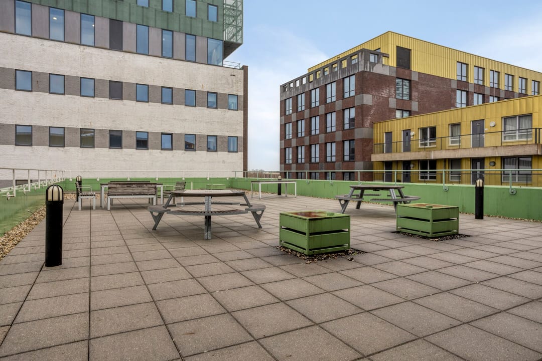 Photo 31 of Hofmeesterstraat 3