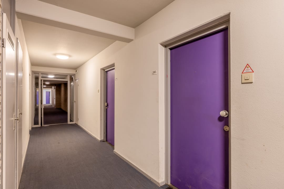 Photo 11 of Roserije 29-C