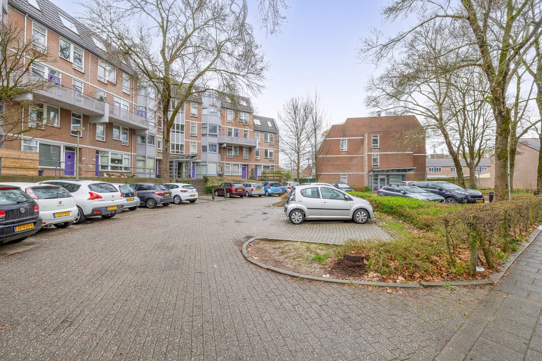 Photo 37 of Roserije 29-C