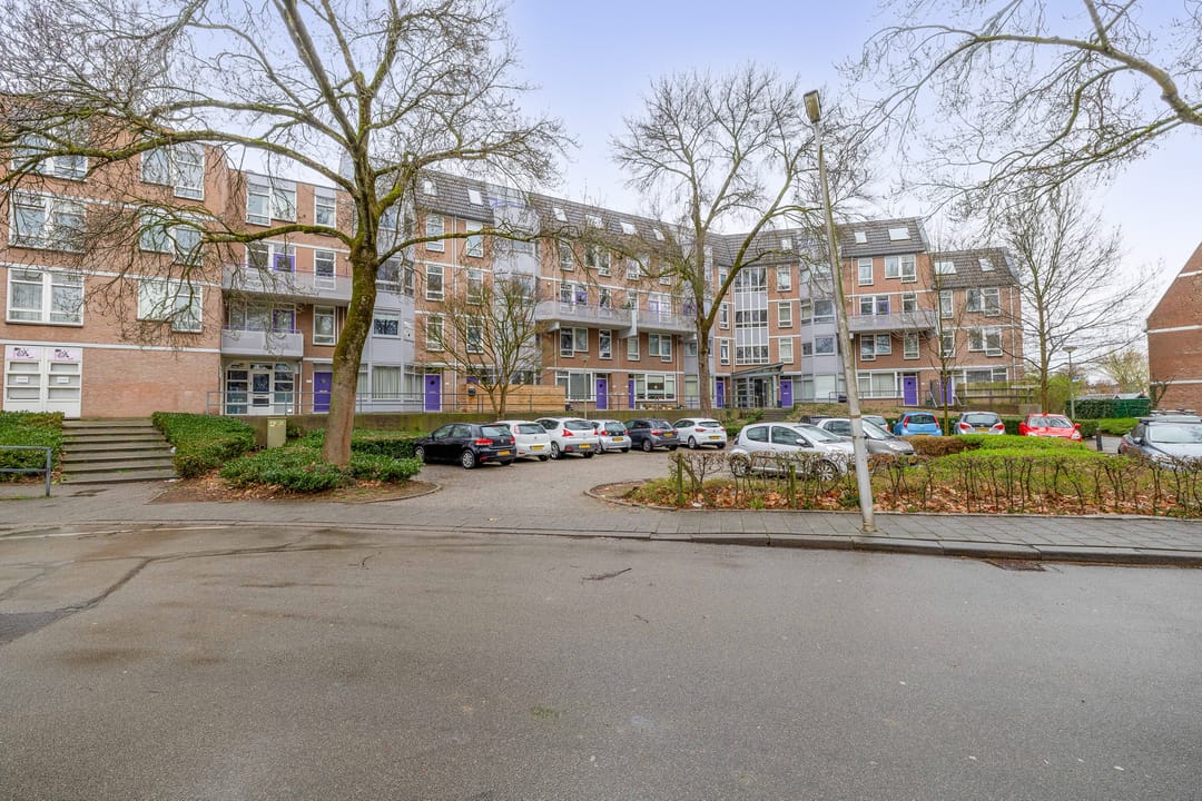 Photo 38 of Roserije 29-C