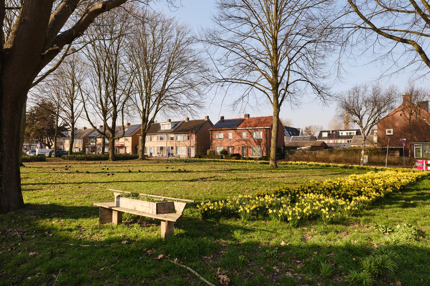 Bekijk foto 2 van Drilleveld 1