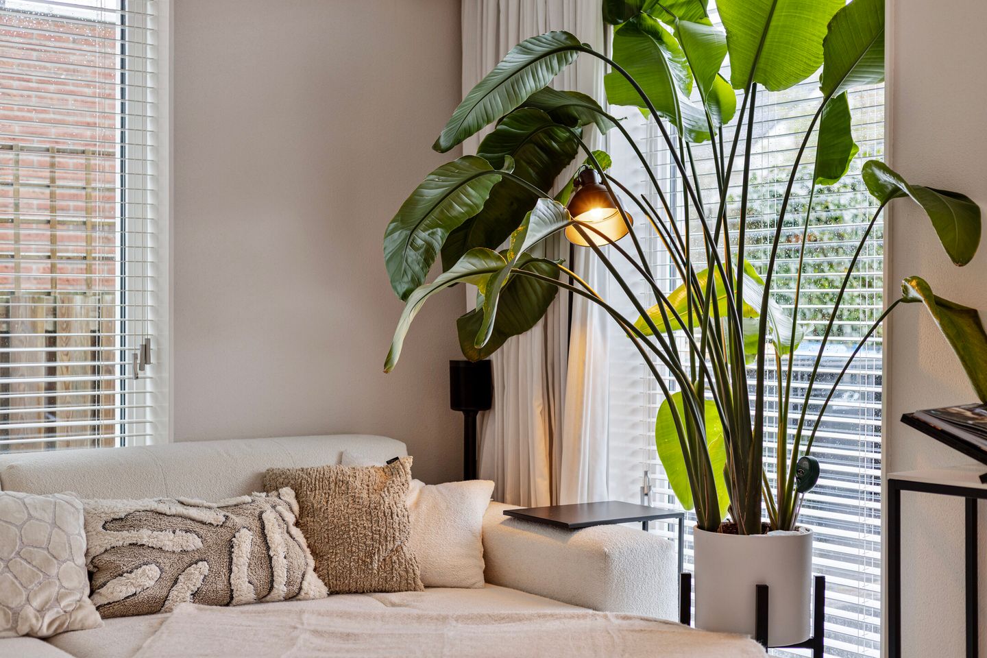 Foto 10 van Darwinhage 24