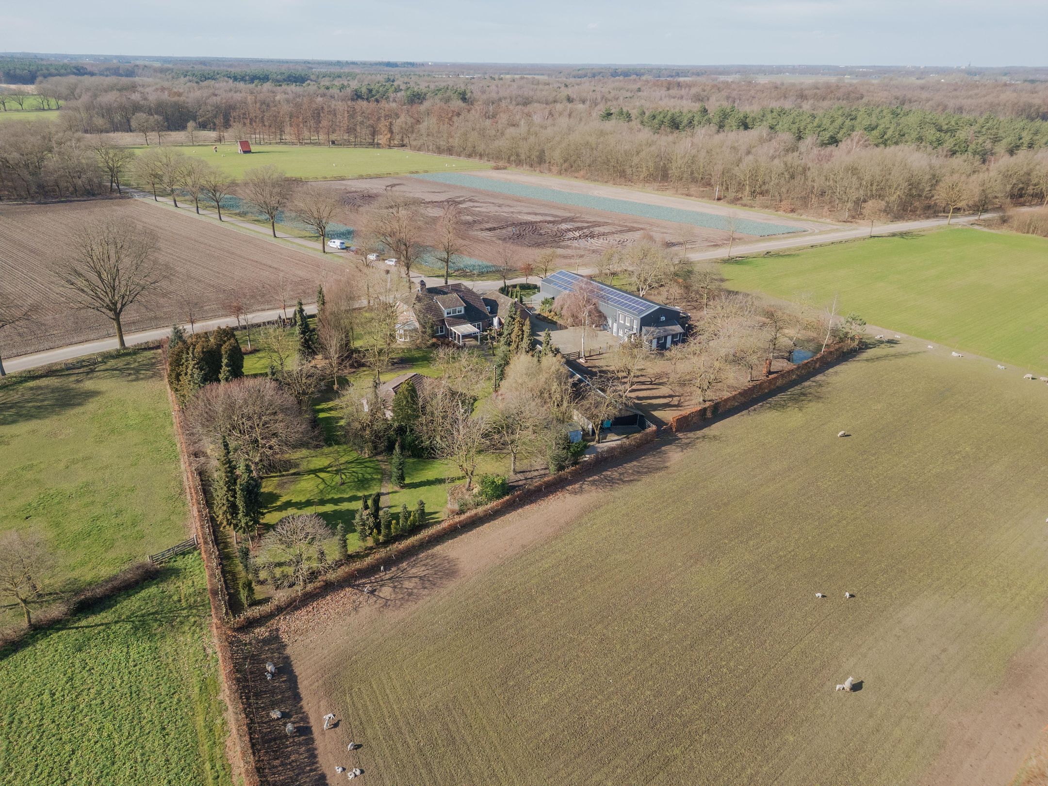 Photo 3 of Veld-Oostenrijk 28