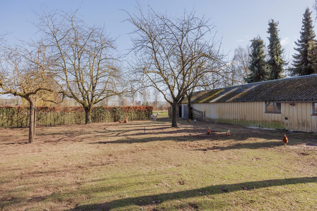 Photo 86 of Veld-Oostenrijk 28