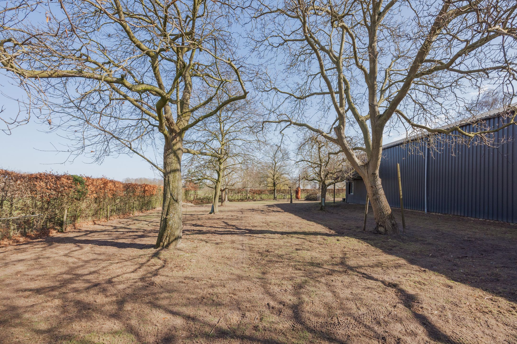 Photo 87 of Veld-Oostenrijk 28