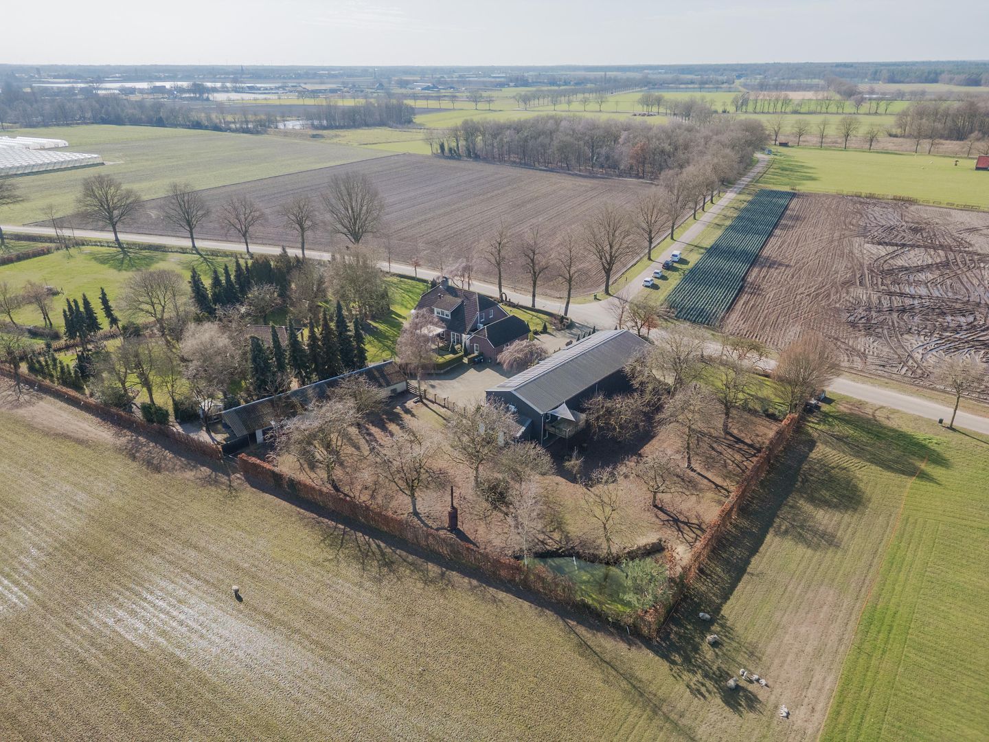 Photo 89 of Veld-Oostenrijk 28