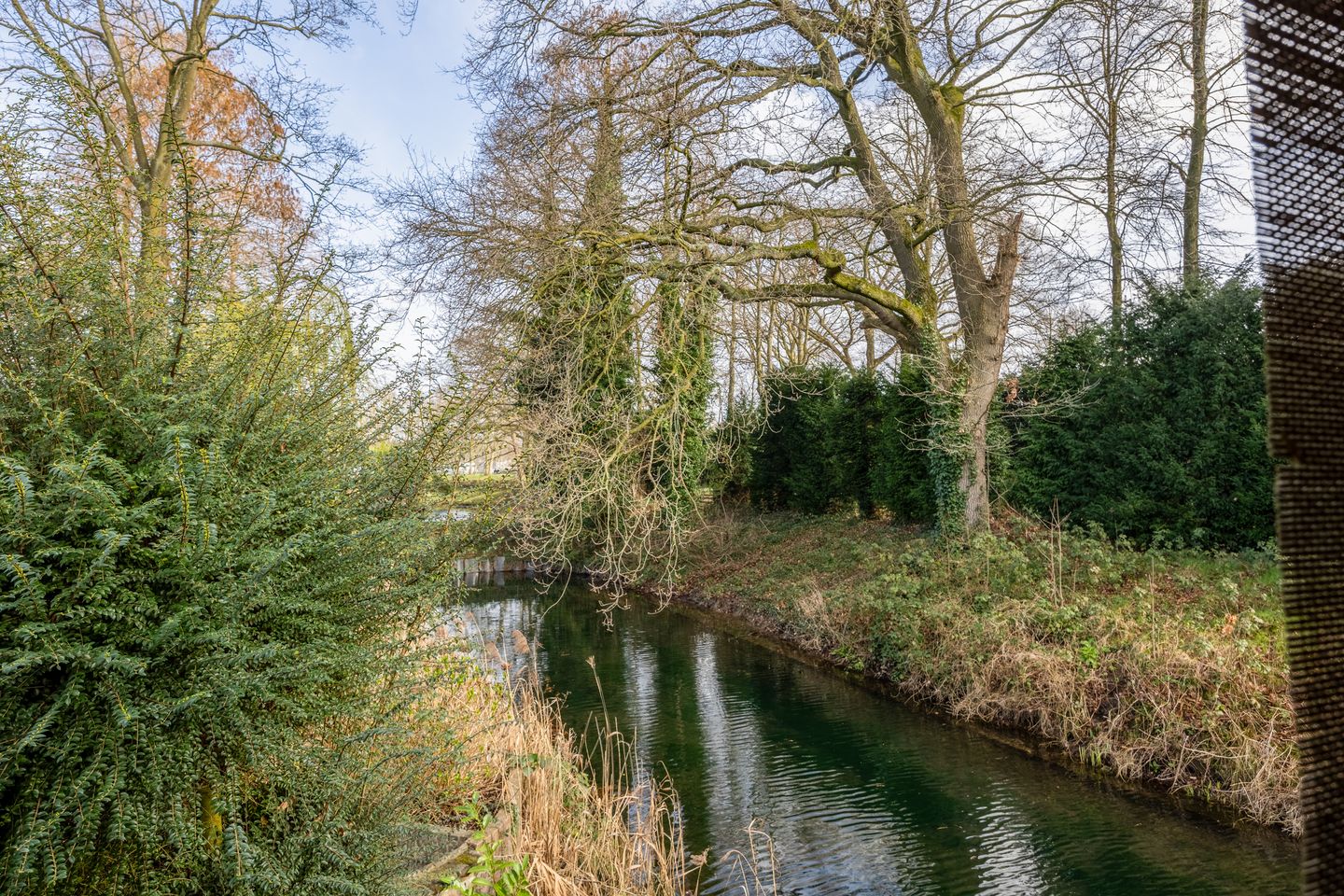 Photo 44 of Zwanenveld 3338