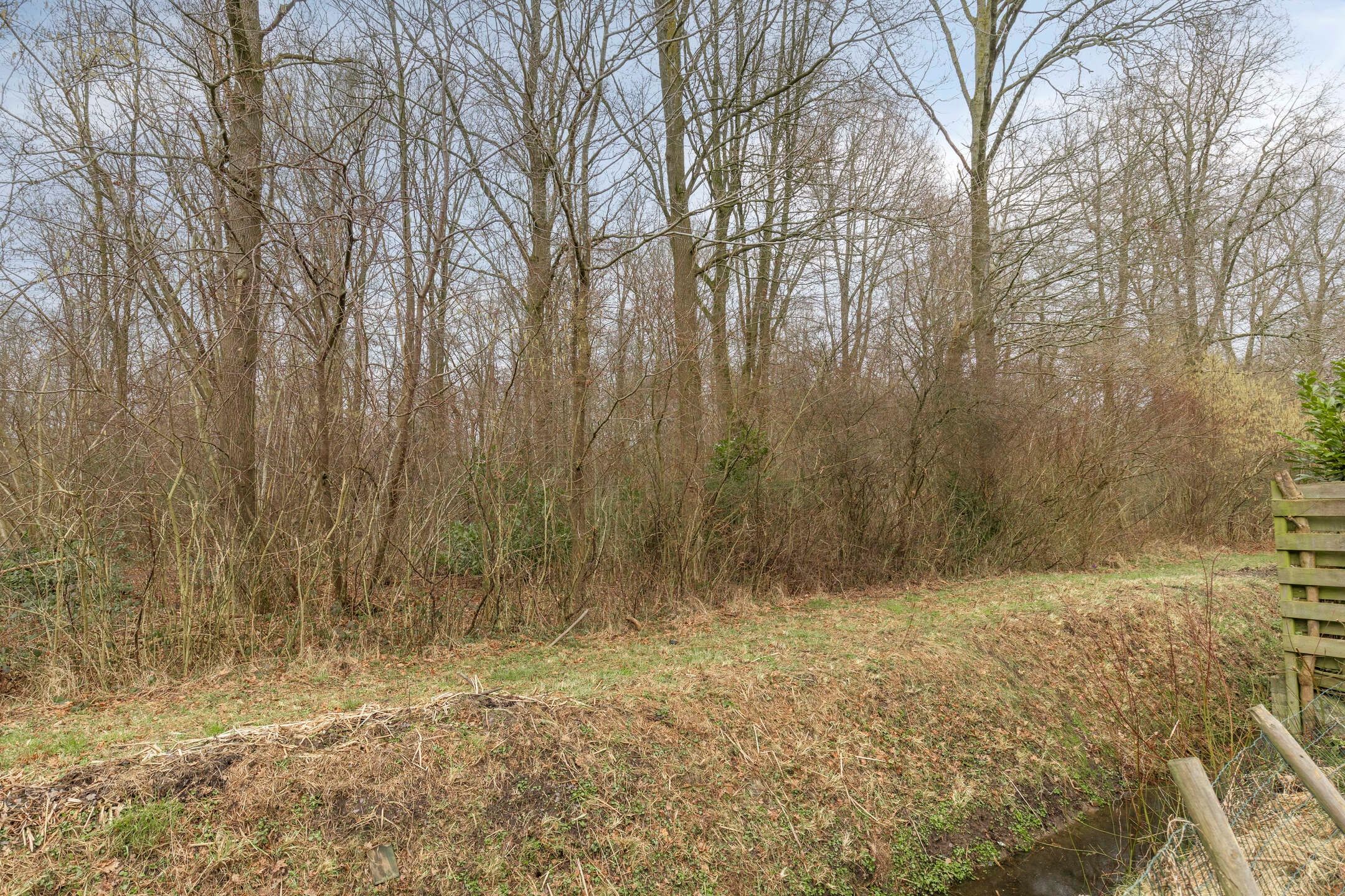 Foto 15 van Singellaan 57