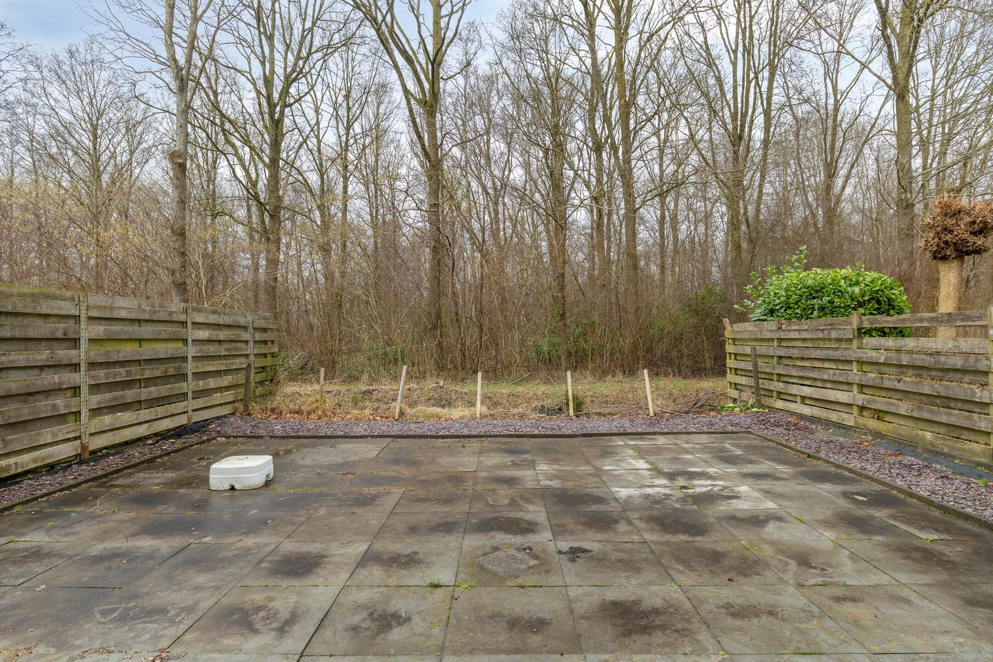 Foto 10 van Singellaan 57