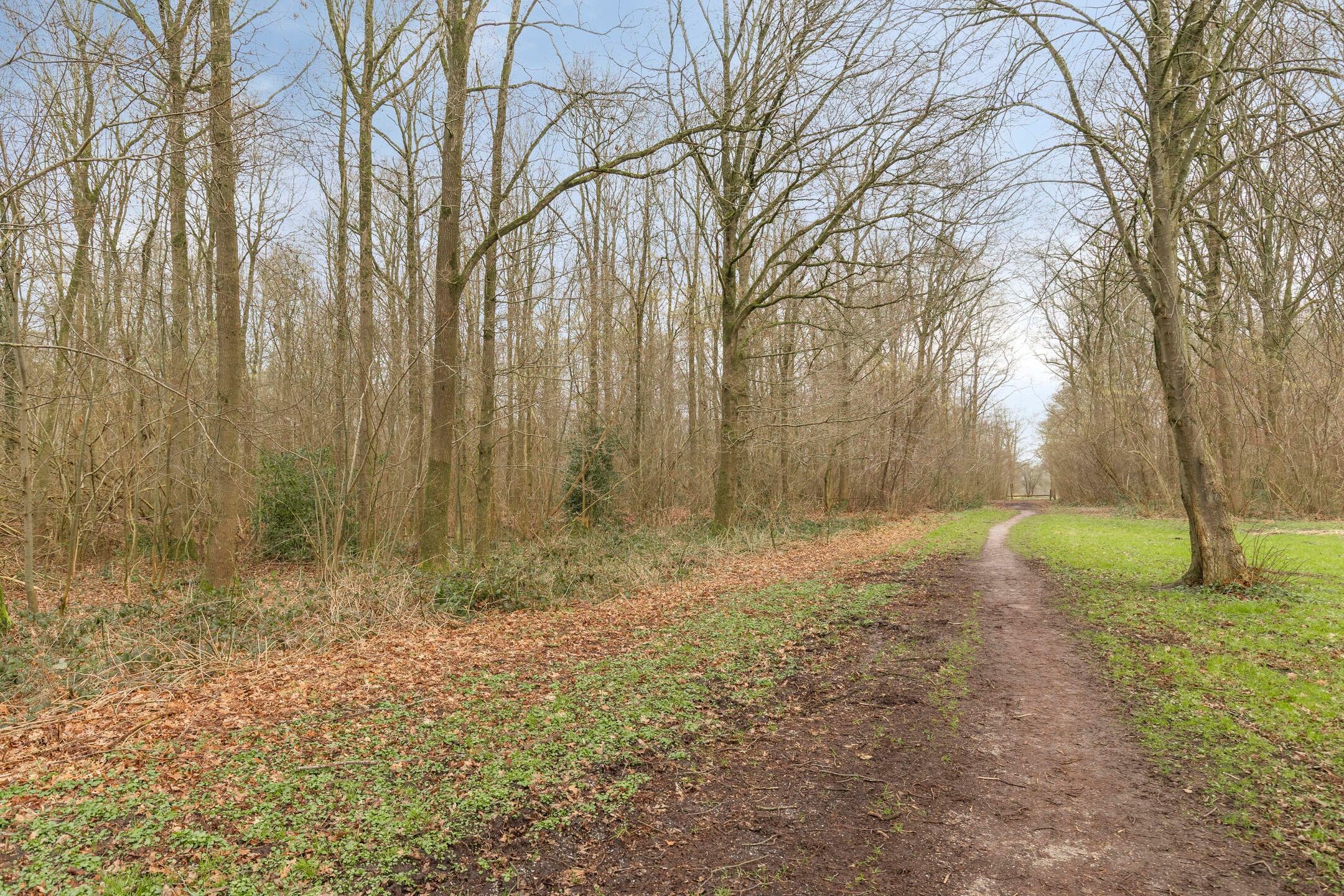 Foto 18 van Singellaan 57