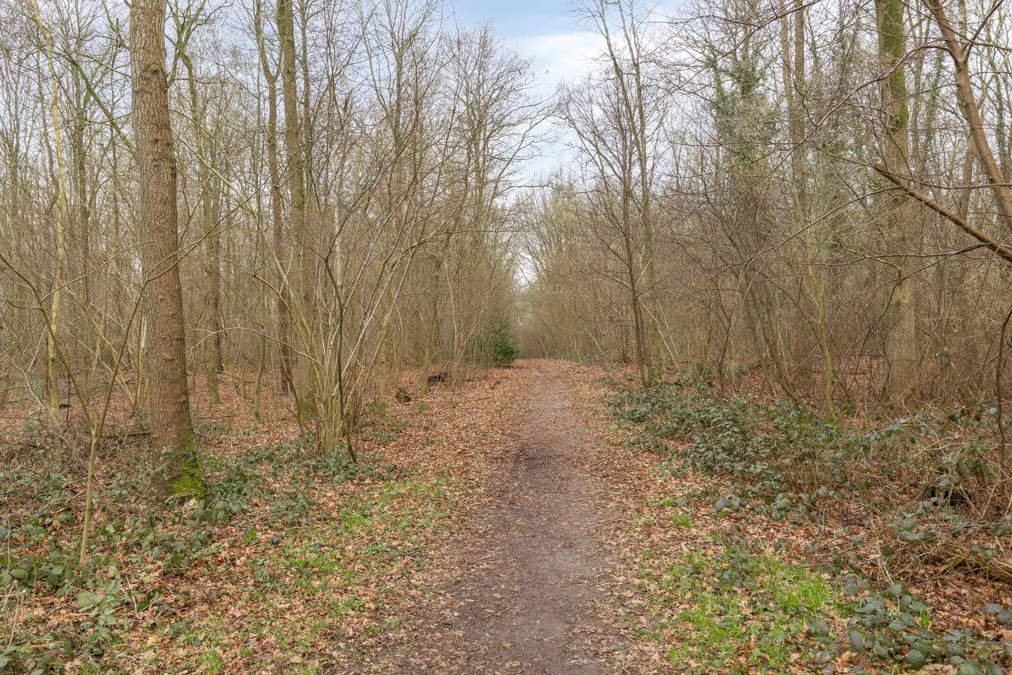 Foto 19 van Singellaan 57