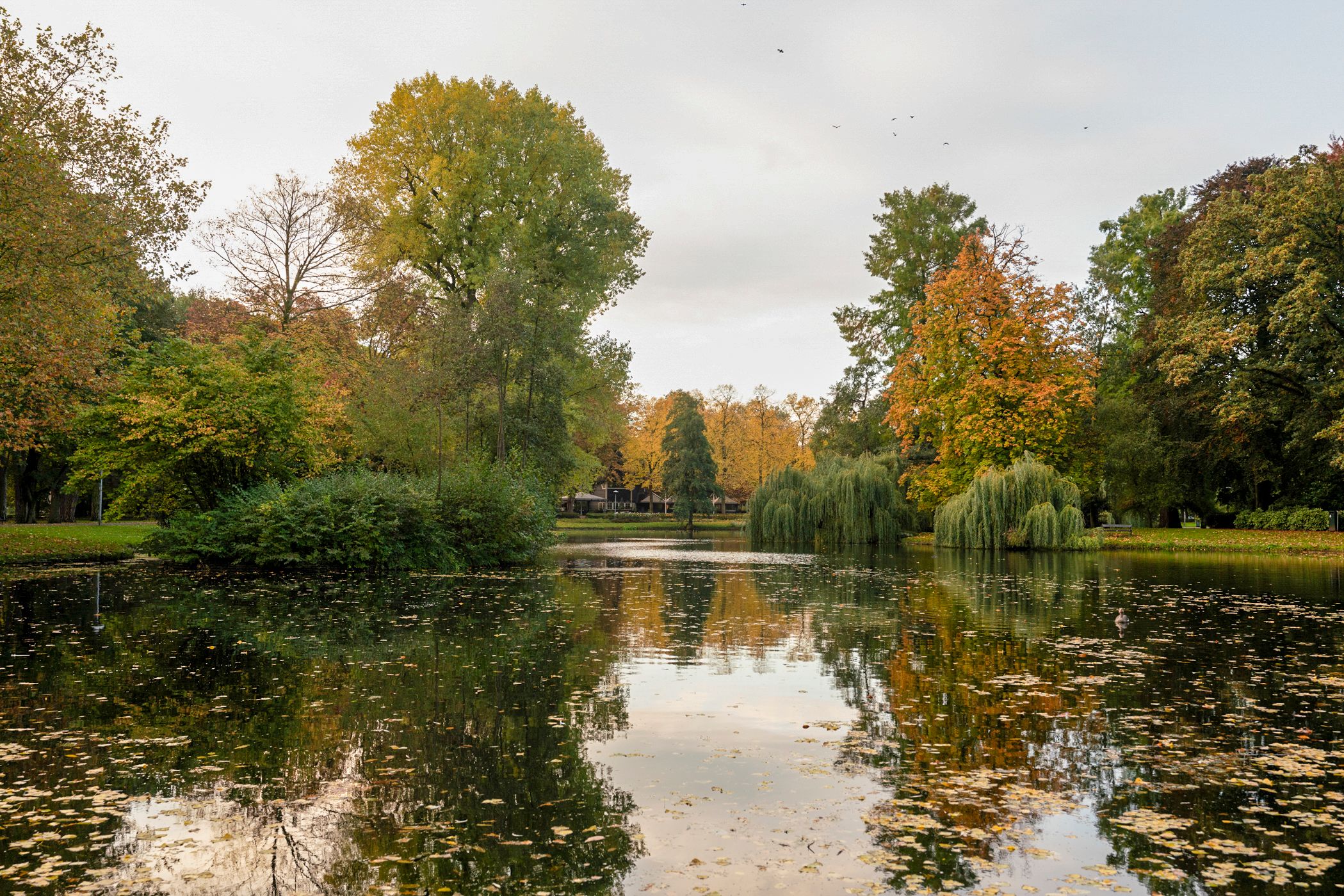 Photo 24 of Prins Hendriklaan 43