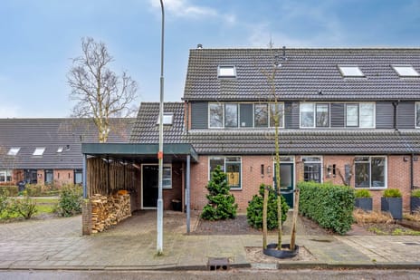 Hindelaan thumbnail