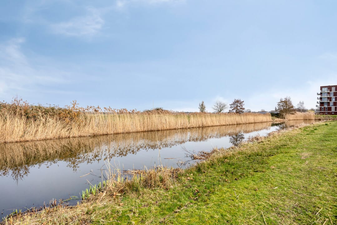 Foto 28 van Adriaan Blommestraat 12