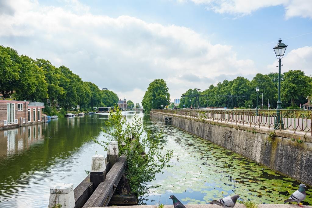 Foto 25 van Lessinglaan 49