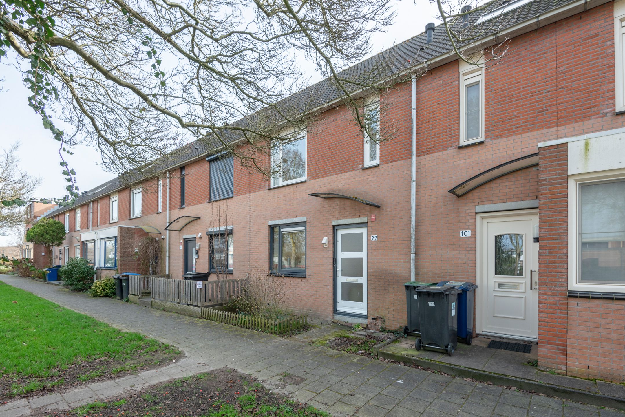 Hypericumstraat 99 