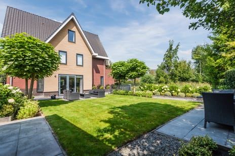 Schapendriest thumbnail